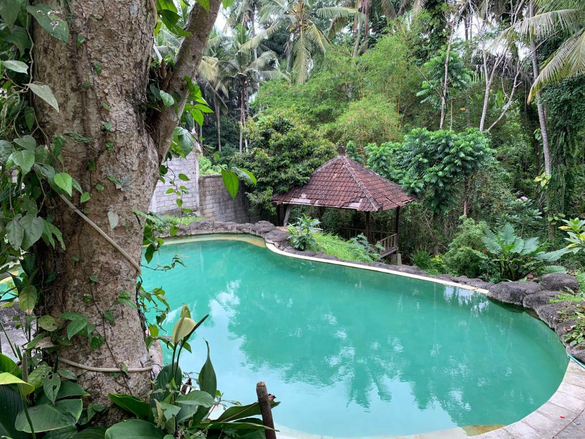 Wonder-Land Villa Ubud Extérieur photo