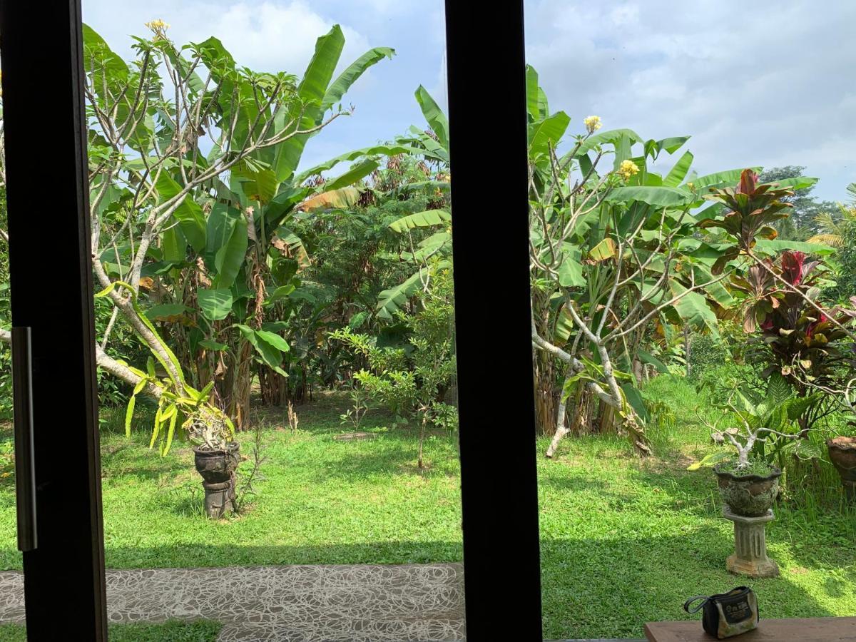 Wonder-Land Villa Ubud Extérieur photo