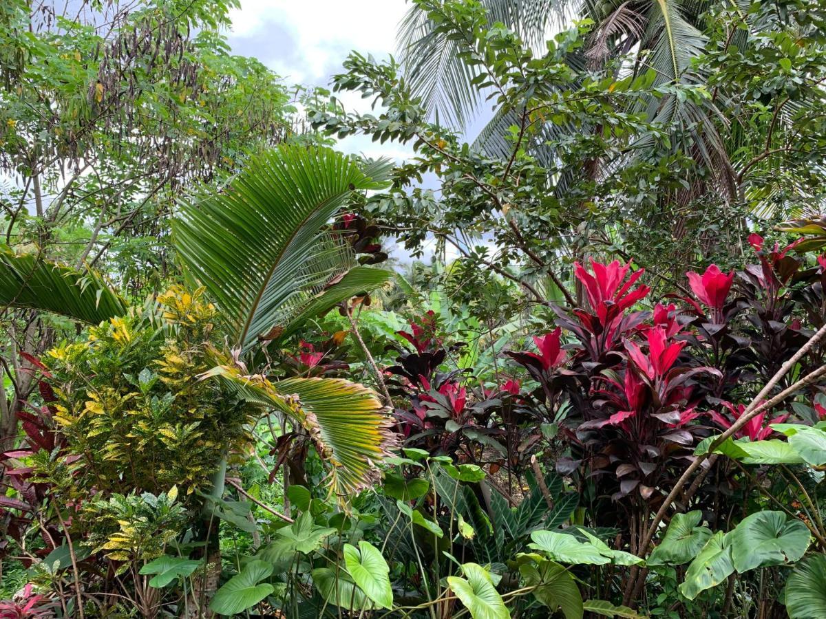 Wonder-Land Villa Ubud Extérieur photo