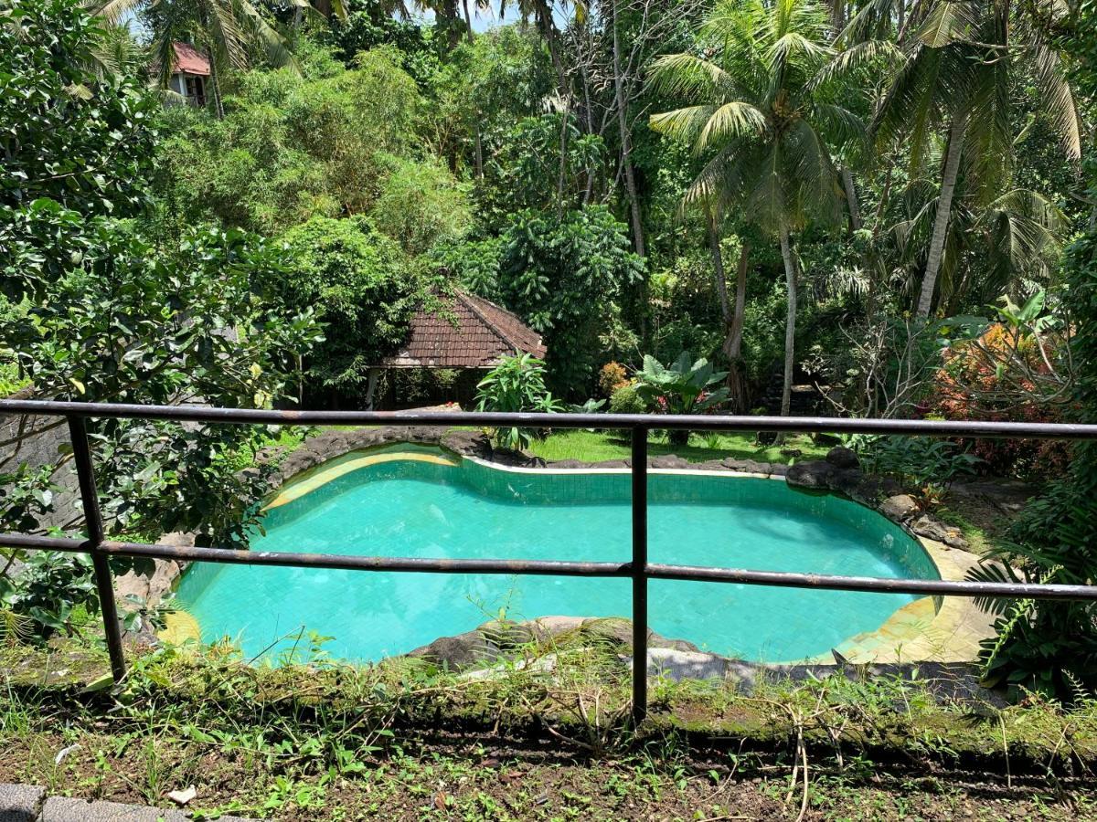 Wonder-Land Villa Ubud Extérieur photo
