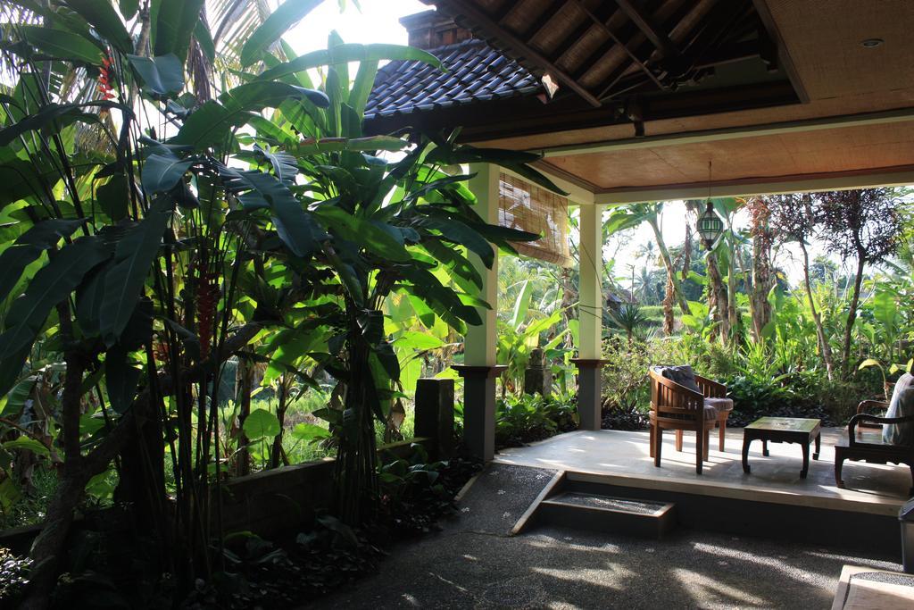 Wonder-Land Villa Ubud Extérieur photo